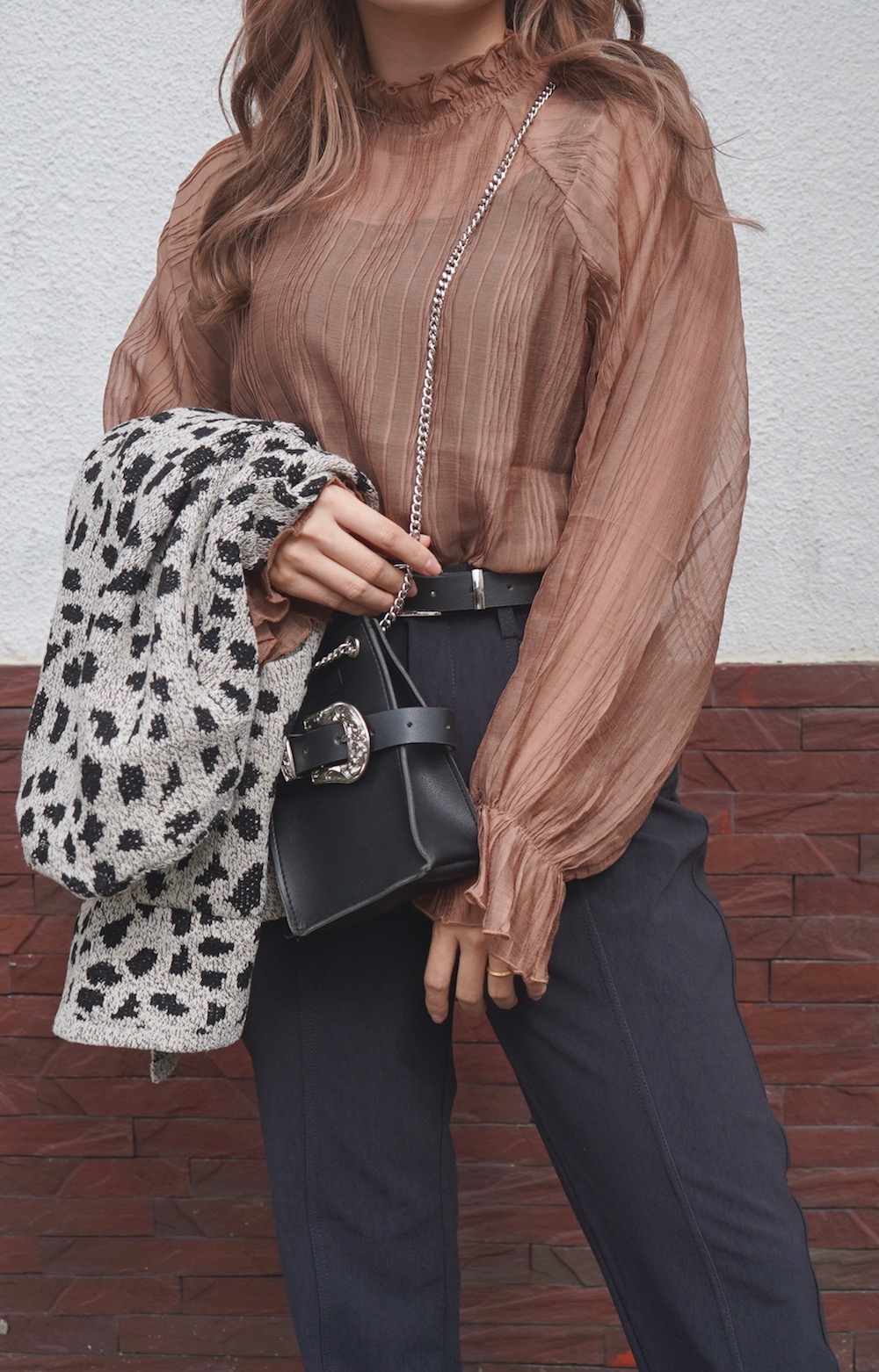 Balloon Sleeve Crinkle Sheer Tops (brown)